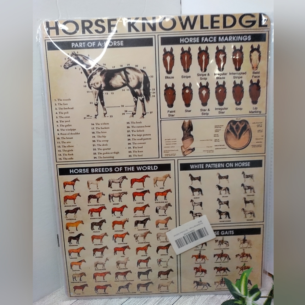 Horse Knowledge Metal Poster Anatomy Of A Horse Vintage Metal Tin Sign 12x16 In. - Picture 2 of 4